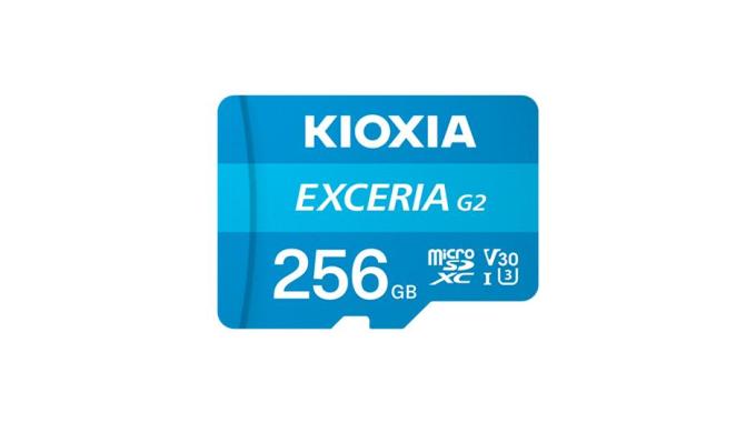 Kioxia LMEX2L256GG2