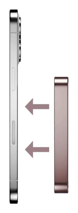 Momax IP117AP