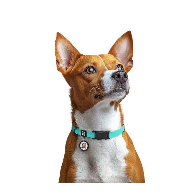 WAUDOG 279427