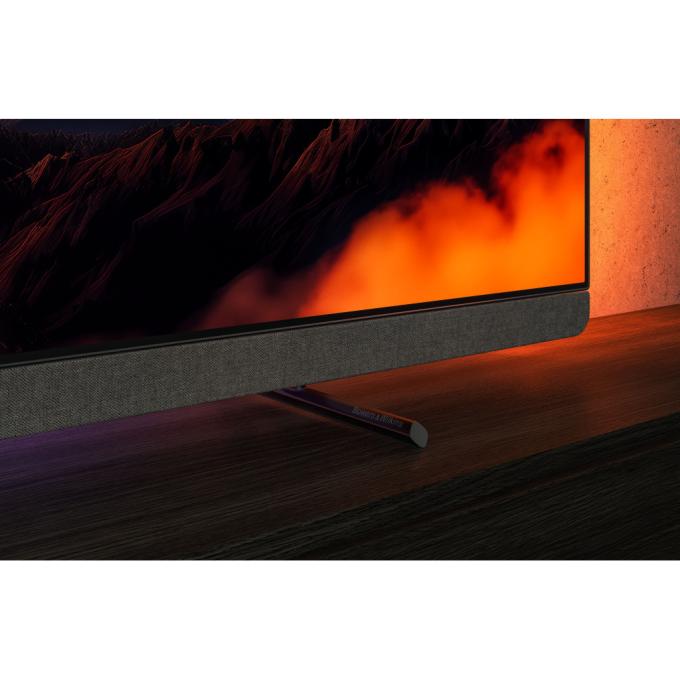Philips 55OLED910/12