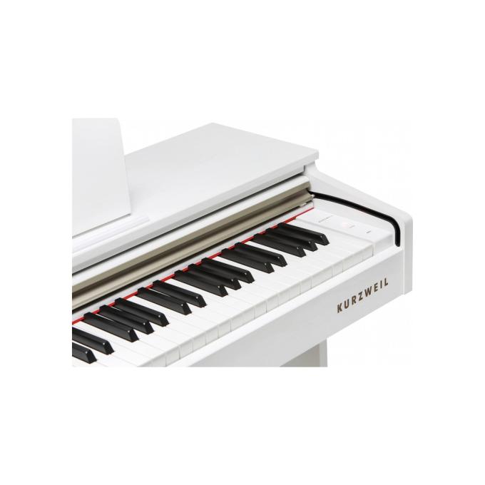 Kurzweil 285608
