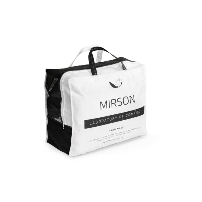 MirSon 2200000004956