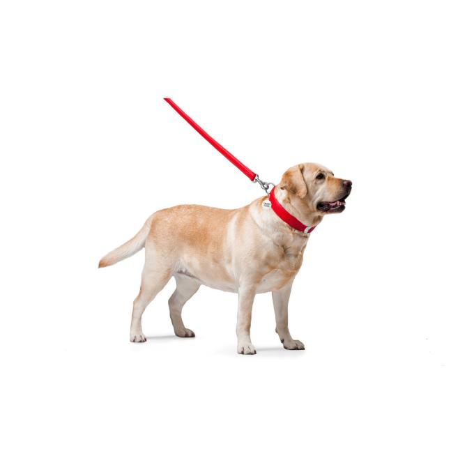 WAUDOG 33763