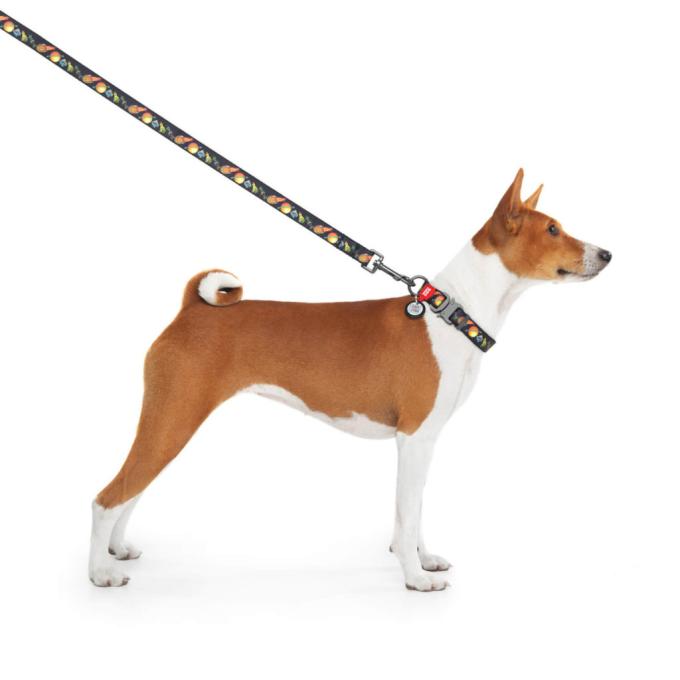 WAUDOG 4535-0282