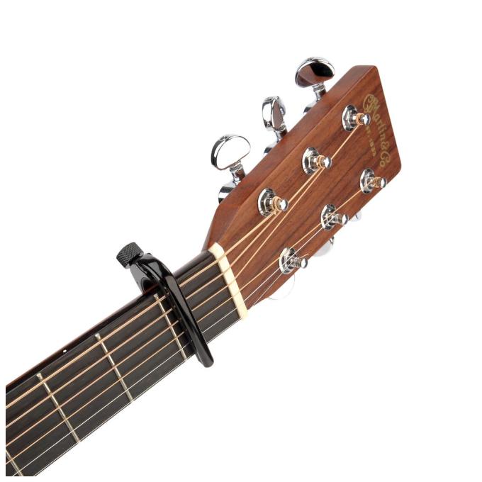 D'Addario PW-CP-02