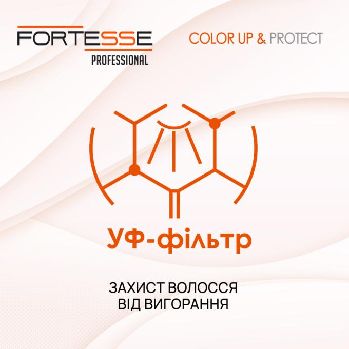 Fortesse Professional 4820000306171