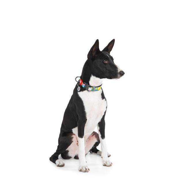 WAUDOG 4535-0280