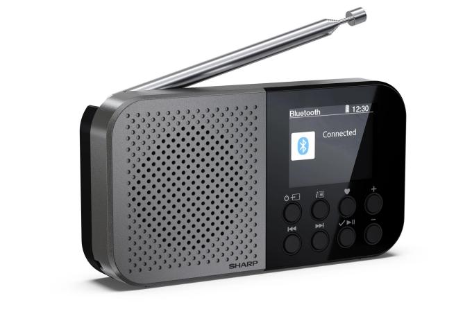 SHARP DR-P520(GY)
