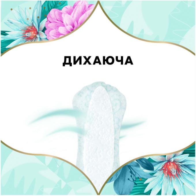 Discreet 8001090162038