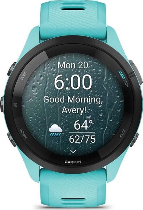 Garmin 010-02810-52