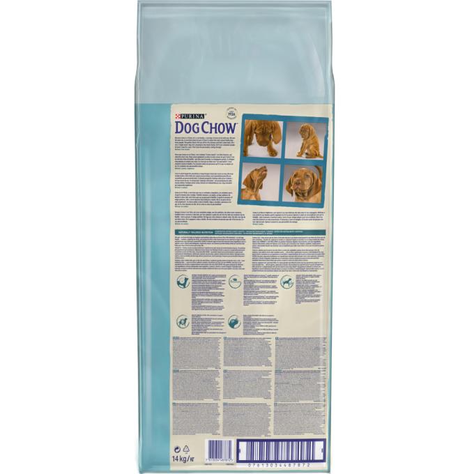 Purina Dog Chow 7613034487872