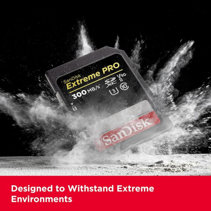 SANDISK SDSDXDM-128G-GN4IN