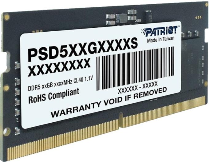 Patriot PSD516G560081S