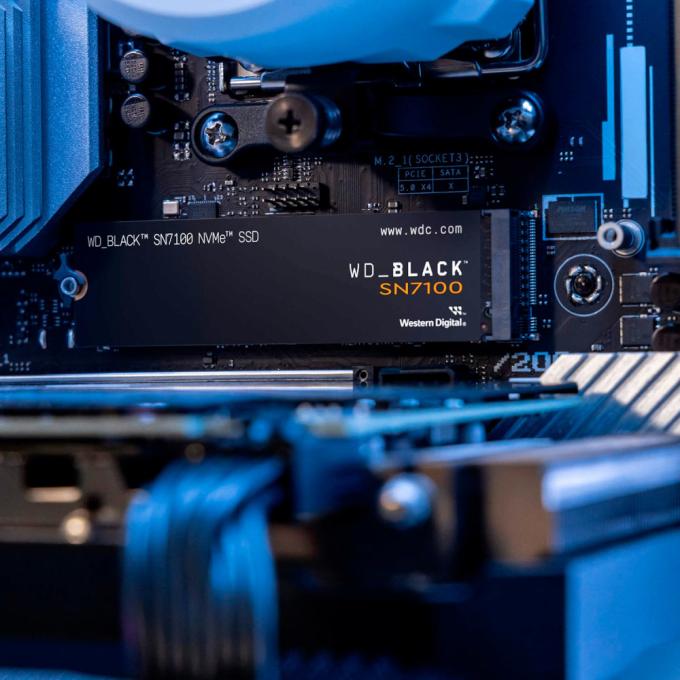 WD WDS100T4X0E