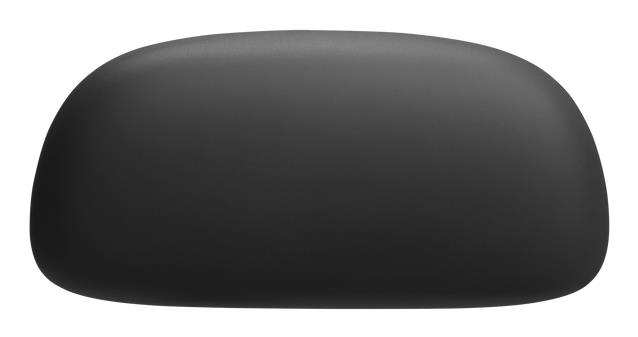 JBL JBLTBUDS2BLK