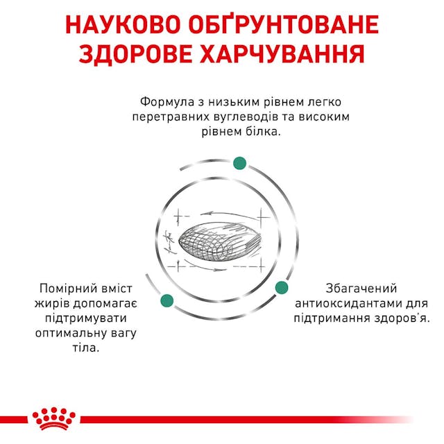 Royal Canin 39060151