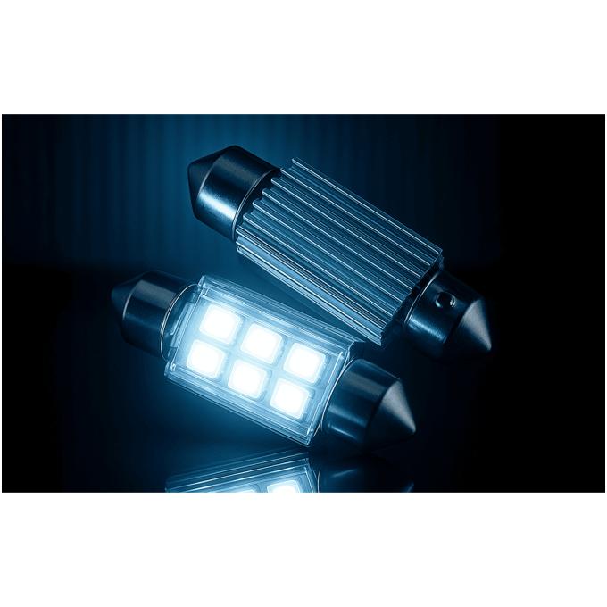 PULSO LP-62041