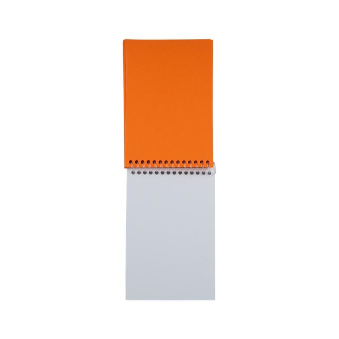 Kite NR23-196-2