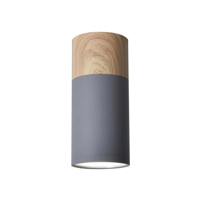 Candellux 2284279
