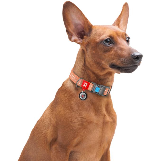 WAUDOG 02864