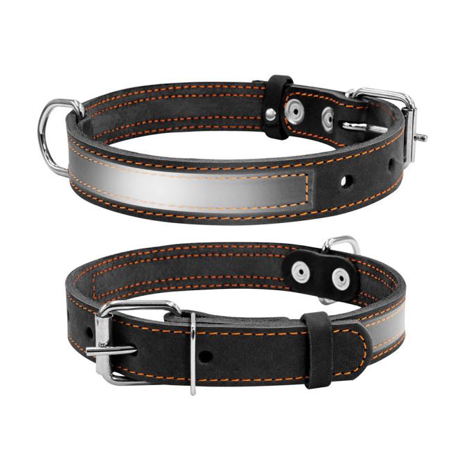 Collar 01551