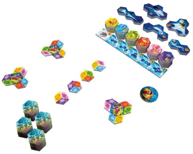 Lords of Boards 3558380115731