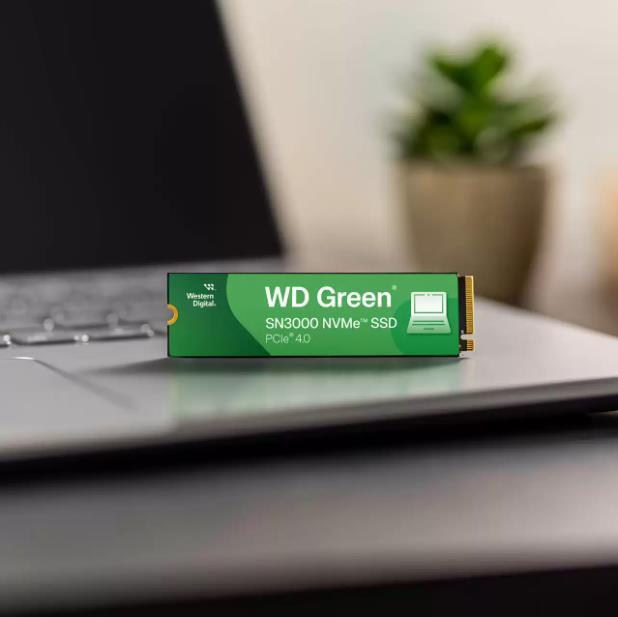 WD WDS200T4G0E