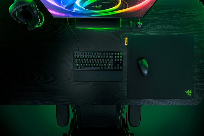 Razer RZ02-05490900-R3M1