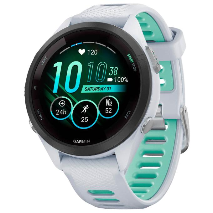 Garmin 010-02810-54