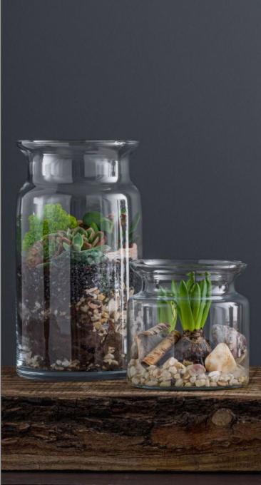 TRENDGLASS 35722