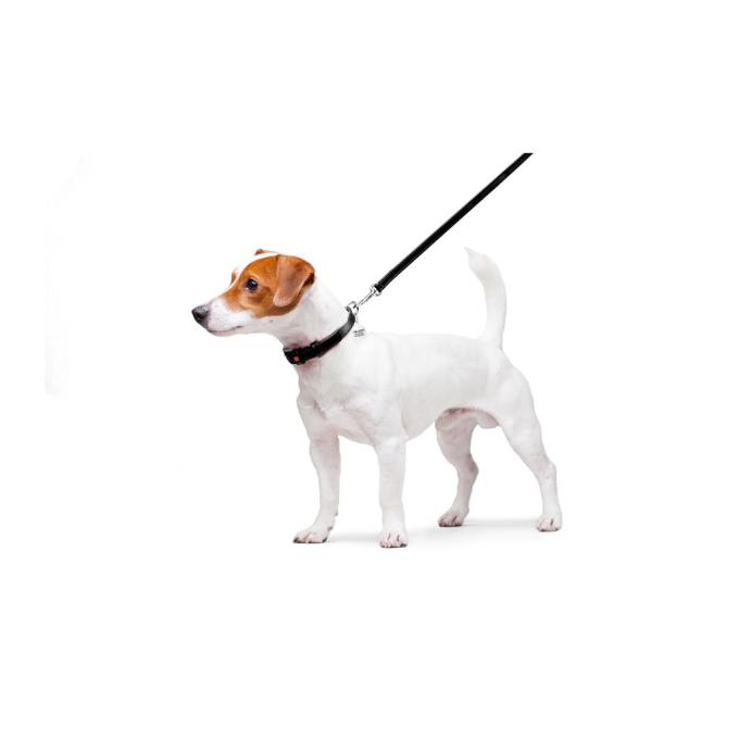 WAUDOG 33721