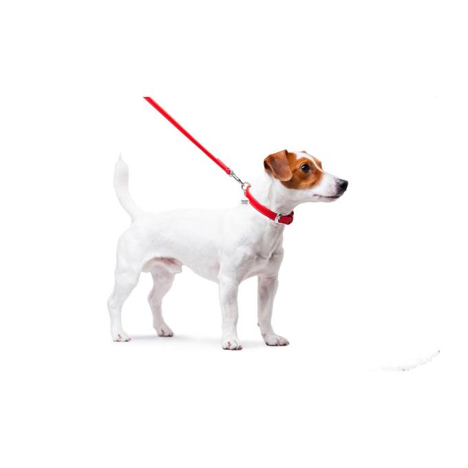 WAUDOG 33723