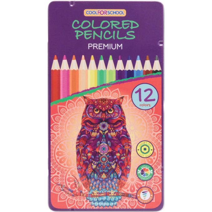 Cool For School CF15173