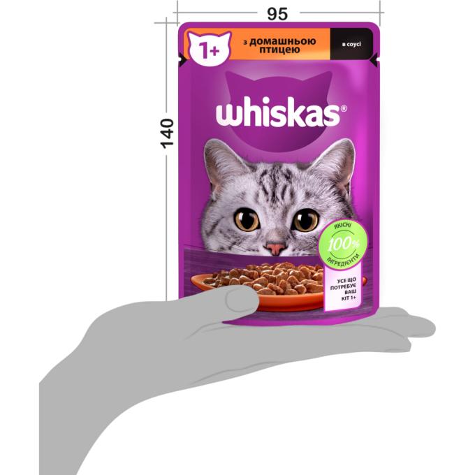 Whiskas 5900951302015