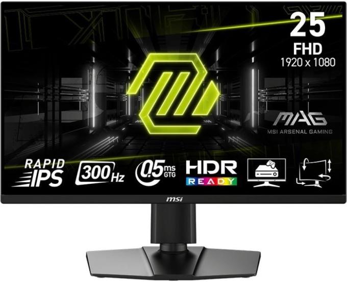 MSI 9S6-3BC24M-064
