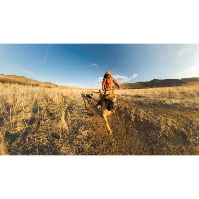 GoPro AGXTM-001