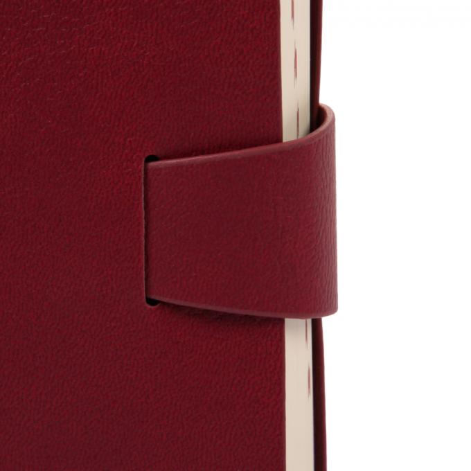 Leo planner 252630