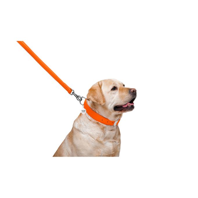 WAUDOG 33764