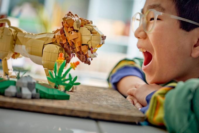 LEGO 31386