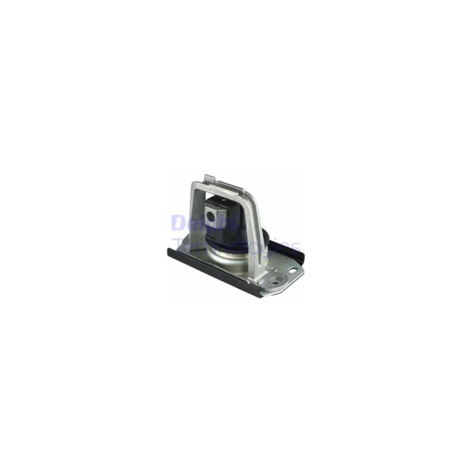 DELPHI TEM043