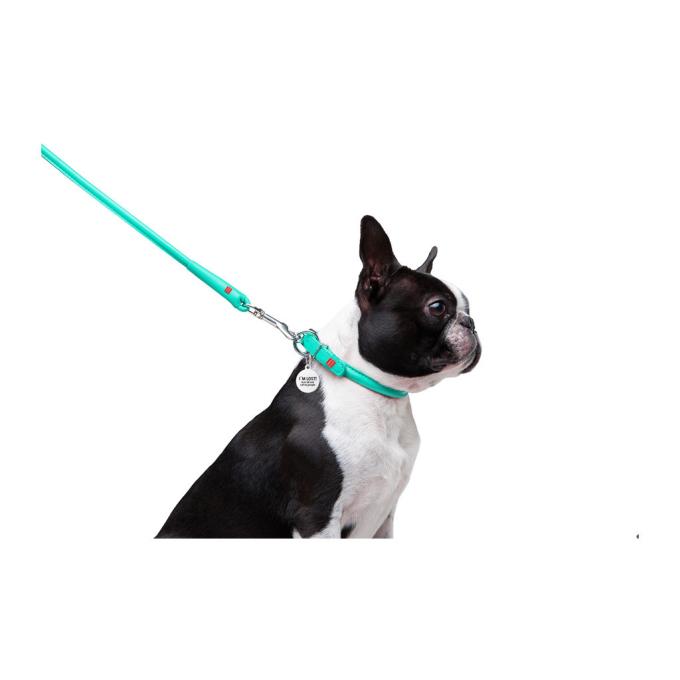 WAUDOG 337713