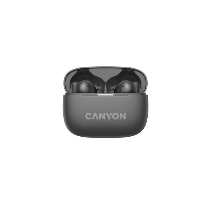 Canyon CNS-TWS10B