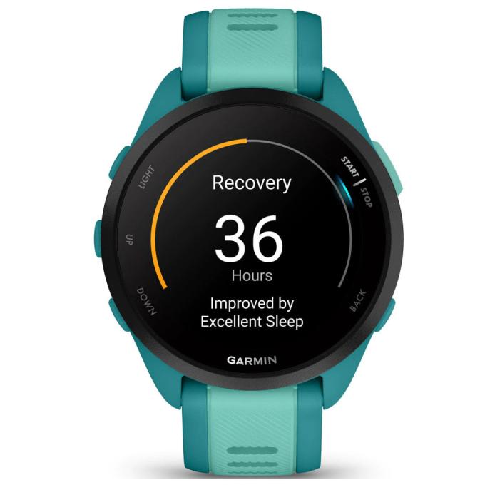 Garmin 010-02863-32