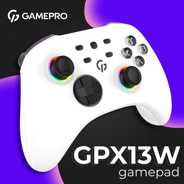 GamePro GPX13W