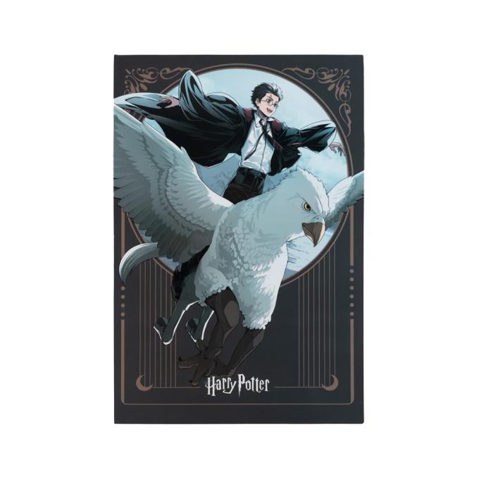 Kite HP25-194-2