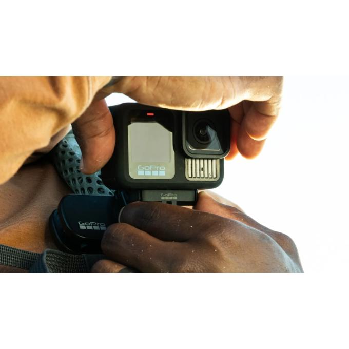 GoPro AEMAG-001