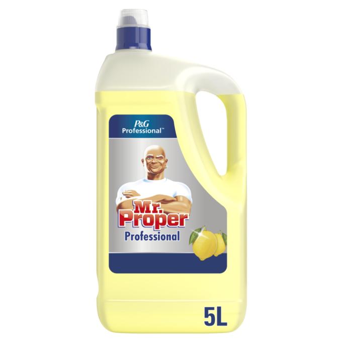 Mr. Proper 8700216250313
