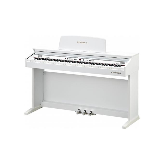 Kurzweil 283886