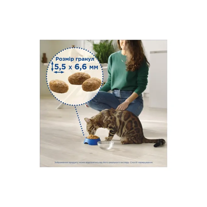 Purina Cat Chow 7613035394131