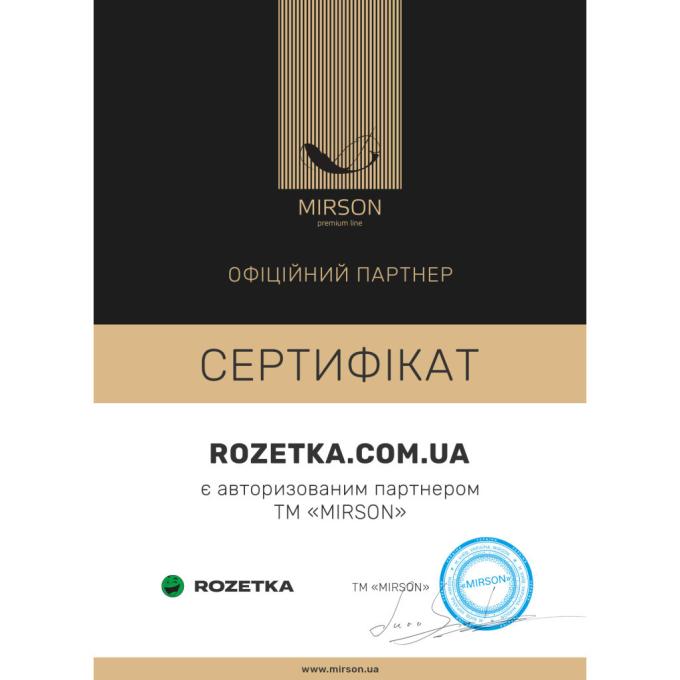 MirSon 2200000459978